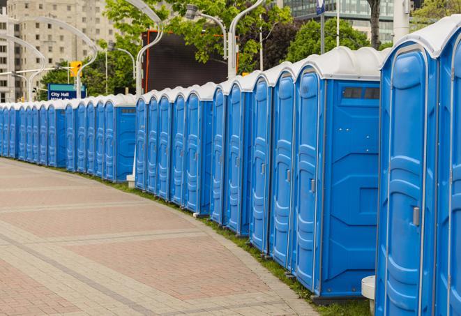 Seasonal porta potty units set up at a Ann Arbor, Michigan venue